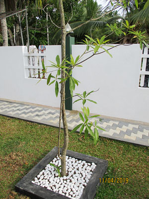 Sri Lanka House Construction